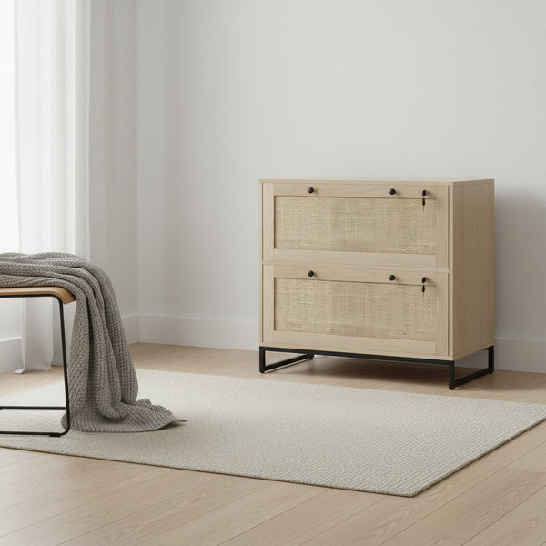 2 Drawer File Cabinet with Lock,Vertical Filing Cabinet with Keys